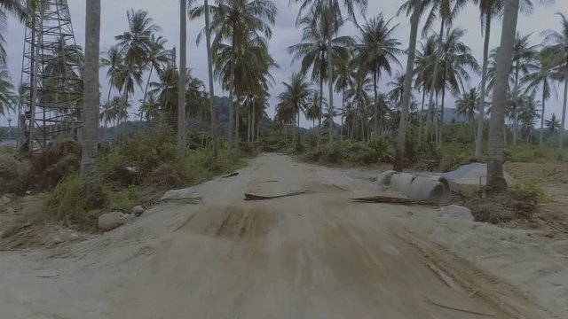 Smooth shot following rural gravel road, slowly passing a picturesque grove of coconut palms, mountains and sky in the background - video in slow motion