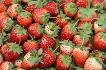 Stack of ripe strawberry fruits organic and background