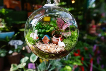Foto op Canvas Mini garden in glass plant terrarium © Thammasiri