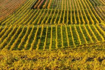 Fototapeta premium Wachau, Austria, Lower Austria, Weissenkirchen