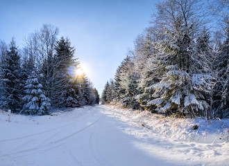Obraz premium Winterliche Landschaft mit Sonnenschein und blauem Himmel