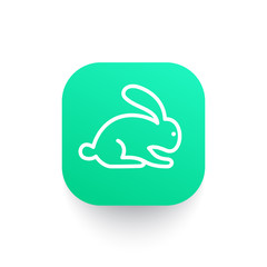 rabbit vector icon in linear style
