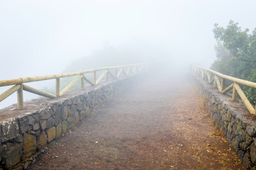 Fototapeta na wymiar mountain trail in the foggy day, Tenerife