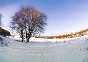 Fototapeta na wymiar Wunderschöner Wanderweg in winterlicher Lanschaft
