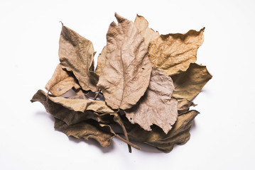 Naklejka na ściany i meble Dry leaves, Heap of dry leaves. isolated on white background.