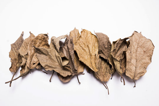 Dry leaves, Heap of dry leaves. isolated on white background.