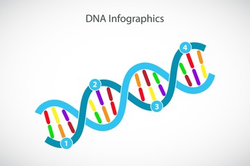 Fototapeta premium DNA timeline. Process template. Vector infographics.