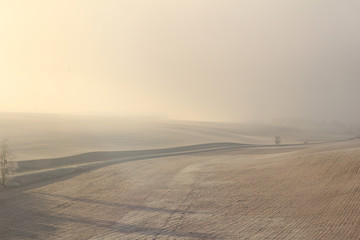 Brume dorée le matin à la campagne 1