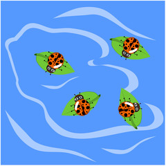 Ladybug on leaf and on the river 