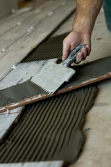 Worker installing Tiles on the Floor