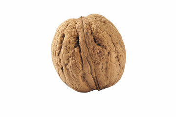 One walnut isolated on a white background