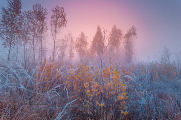 Fototapeta premium Frosted autumn landscape at dawn.