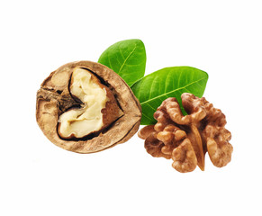 Single half with  green leaf of walnut