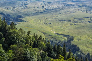 Scenic landscape with mountain forest