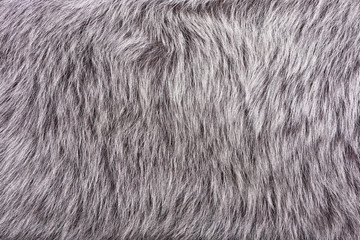 Pile sheepskin closeup