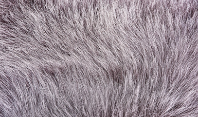 Pile sheepskin closeup