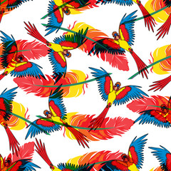 Obraz premium Seamless repeating pattern with parrots and feathers.Vector
