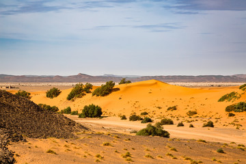 Meeting hamada stony deserts and sand deserts of the Sahara.