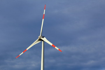 rotor of a three bladed wind turbine