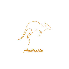 Kangaroo australia