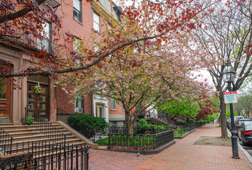 Boston in early spring, Massachusetts, USA