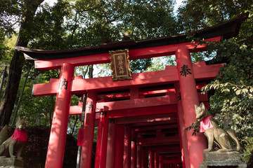 伏見稲荷大社の千本鳥居