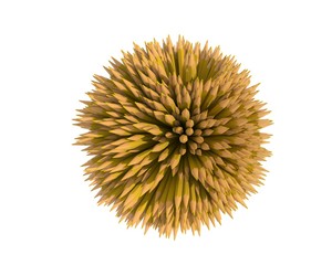 Pencils - 3D - Yellow - 3D rendering of yellow pencils in the shape of a sphere.