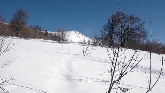 Winter Trip Through the Woods. Walking on a Path Inside a Forest Covered in Heavy Snow. Mountain Forest Landscape. Pov Rear View