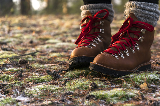 person is walking in brown leather boots with red laces in the forest on the land with green moss and dried needles covered with frost and snowflakes 