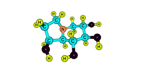 Castanospermine molecular structure isolated on white