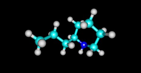 Coniine molecular structure isolated on black