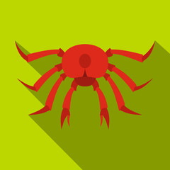 Red crab icon, flat style