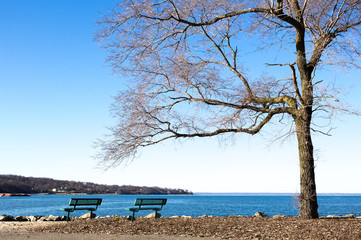 Fototapeta na wymiar public chair with tree at seaside in winter time