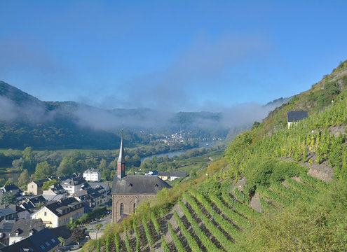 Blick auf den Weinort Valwig vom Valwiger Berg im Moseltal,Rheinland-Pfalz,Deutschland