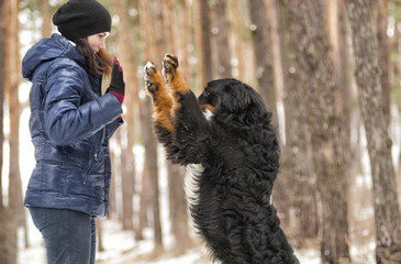 dog giving paw to girl