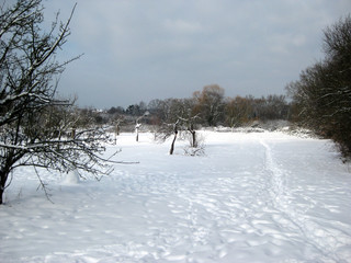 Winterlandschaft
