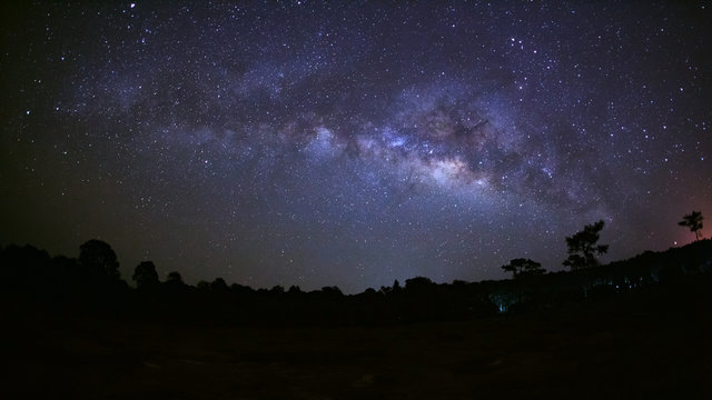 Panorama beautiful milky way galaxy on a night sky and silhouett