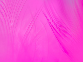 Obraz premium Abstract blurry stripes feather and pink background