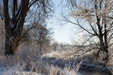 The Brenz river in winter