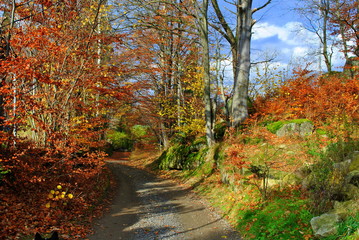 Obraz premium Pejzaż jesienny