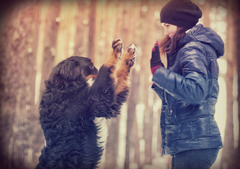 dog giving paw to girl