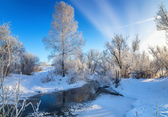 зимний пейзаж с деревьями в инее возле ручья, Россия