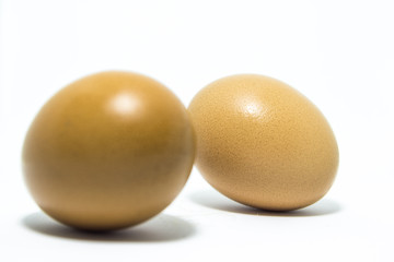 double eggs