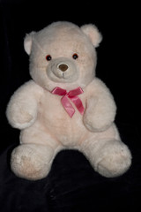 Old Teddy Bear Isolated