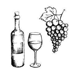 Sketch of wine bottle, glass and grapes