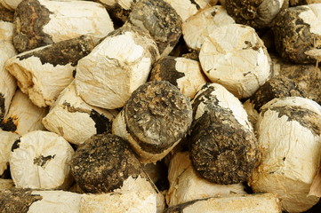 Sawdust cubes of expired mushroom