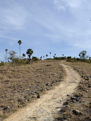 Fototapeta premium A stony path leads to the top of the hill.