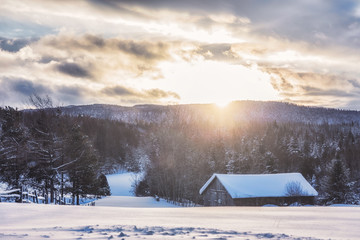 Paysage hivernal