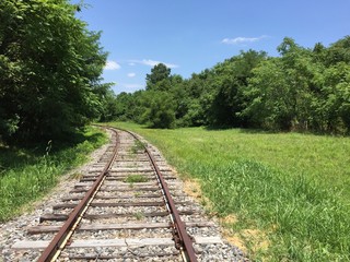 Fototapeta na wymiar Abandoned Railroad running through Woodlands