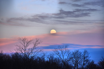 Obraz premium Winter Moon